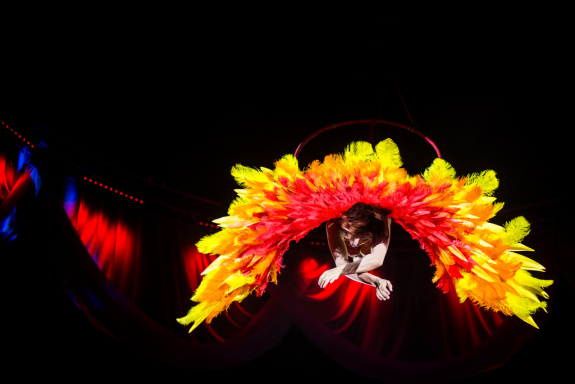 Цирк на воде Царство фонтанов