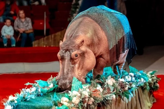 &Tcy;&rcy;&ocy;&pcy;&icy;&kcy; -&SHcy;&ocy;&ucy;