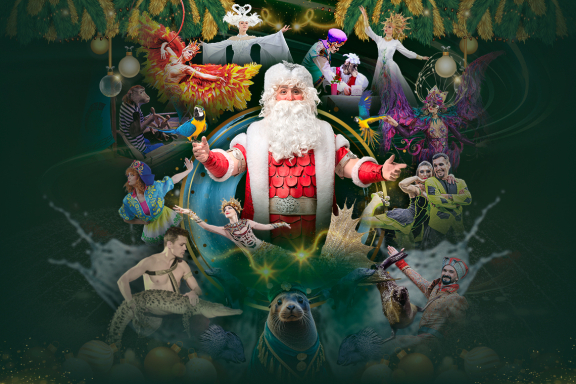 Цирк на воде Царство фонтанов