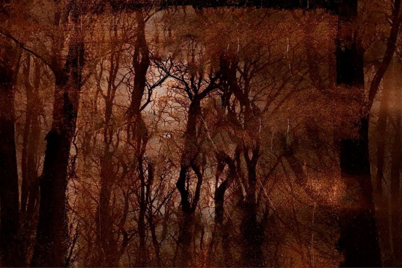 &Kcy;&Ocy;&Ncy;&TScy;&IEcy;&Rcy;&Tcy; &Gcy;&Rcy;&Ucy;&Pcy;&Pcy;&Ycy; &laquo;&Acy;&Lcy;&Icy;&Scy;&Acy;&raquo;