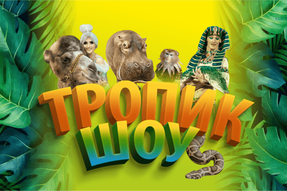 &Tcy;&rcy;&ocy;&pcy;&icy;&kcy; -&SHcy;&ocy;&ucy;