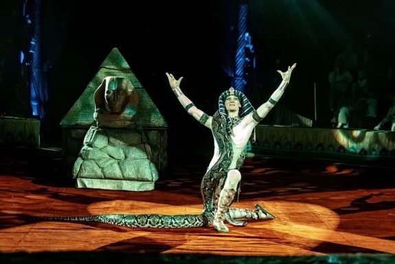 &Tcy;&rcy;&ocy;&pcy;&icy;&kcy; -&SHcy;&ocy;&ucy;