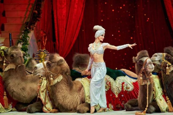 &Tcy;&rcy;&ocy;&pcy;&icy;&kcy; -&SHcy;&ocy;&ucy;