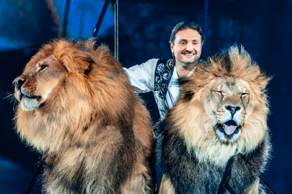 &Icy;100&rcy;&icy;&yacy;